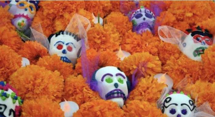 La venta de flor de cempasúchil favorece la economía de productores en la entidad 